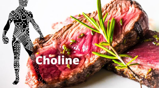 Choline: The Nutrient You Mightn’t Have Known You Need