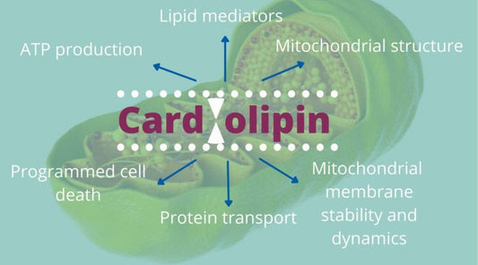Cardiolipin: A New Target for Bio-hackers
