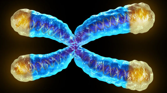 Telomeres: A Fail-Safe Marker of Ageing and Longevity?