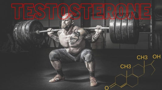 Testosterone and Muscle: How Much is Enough?